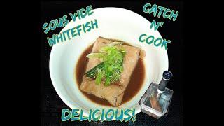 Sous Vide | Whitefish | Delicious