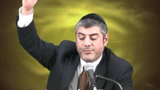 Torah & Science - Rabbi Yosef Mizrachi