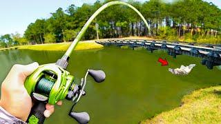 Fishing for GIANT Bass in SMALL Ponds (Bed Fishing)