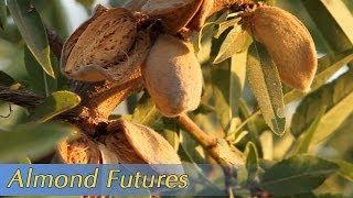 Growing California video series: Almond Futures