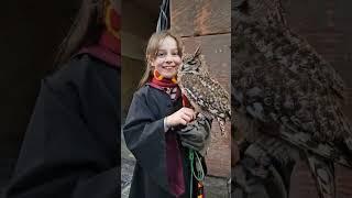 #ecosse #hibou #harrypotter #edinburgh