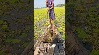 Unique Boat Fishing Method In Village | (part_84) #uniquefishing #fishing #ytshorts #shorts #boat