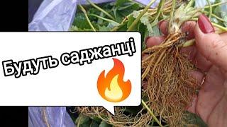 Розпакування!!! Які приїхали вуса?!