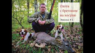 Охота на косулю с Эпаньоль Бретоном.