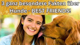 3 ganz besondere Fakten über Hunde   BEST FRIENDS 