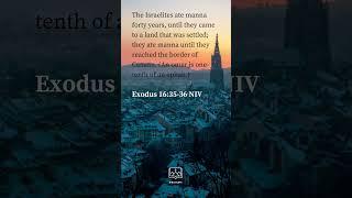 Biblescape ( Exodus 16 : 35-36 NIV)