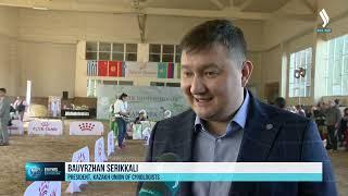 Kazakh Tazy breed showcased at international dog show in Almaty