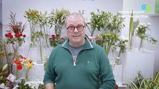 Lamber De Bie Flowers