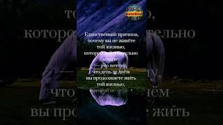 Цитата Эндрю Хуберман Афоризмы GlobalBites shorts