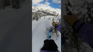 Tree tap to a couple flat landings #backcountryskiing #gopro