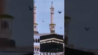 Beauty of Islam  #status#quransura #quran #viral#cover #popular️ #islamicstatus