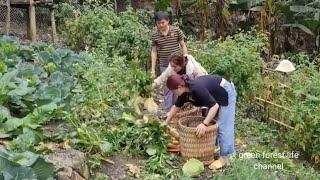 Full video part 7. Gardening and welcoming girls to buy vegetables. Robert | Green forest life