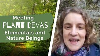 Plant Devas, elementals and nature beings