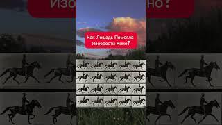 #история #history #historia #film #movie #movies #кино #фильм #лошадь #кино