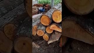 best type of wood #woodworking #wood #woodskills