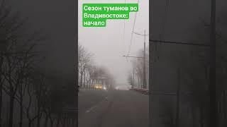 сезон туманов во Владивостоке: начало