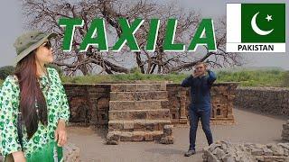 TAXILA in Pakistan | Taxila Museum | Dharmarajika & Stupa | Sirkap | Jaulian | Rawalpindi