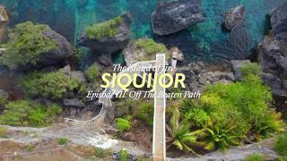 Siquijor’s Best Resorts! Coco Grove, Kawayan Holiday, Coral Cay, Night Life & JJ's Backpacker's!