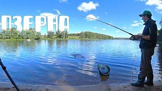 РЫБАЛКА на Озернинском Водохранилище - FISHING in the Moscow region (2020)