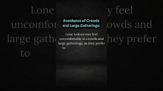 6 Signs Of A Lone Wolf Personality || #motivation #personalgrowth #shorts