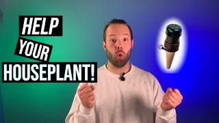 Blumat Classic & Blumat Easy Watering Systems | How To Get Started!