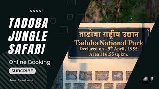 How to Book Tadoba Jungle Safari Online | Tadoba National Park | Travel From Home