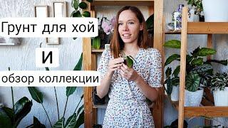 ХОЙЯ | Обзор коллекции и рецепт грунта