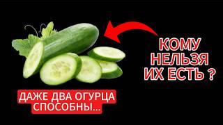 Огурцы способны на большее, чем вы думаете! Мало кто знает...#огурцы #выращиваниеогурцов #огород #пп