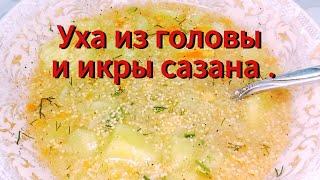 Любителям супов .Уха из голов сазана с икрой .