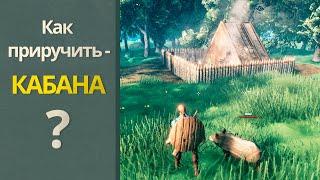 Valheim  как приручить кабана ? (Валхейм гайд)