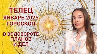 Телец - гороскоп на январь 2025 года. В водовороте планов и дел