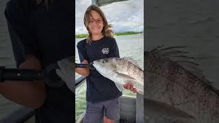 Fish most aussies have caught creek edition pt 8 #australia #fishingaustralia #fishing