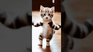 Kucing Joget lucu  #viral #lucu #kucing #cat #miaw #miau #koceng #joget #fyp #fypシ゚viral #fypyoutube