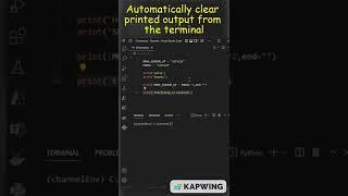 Automatically Clear Printed Output From Terminal Using Python