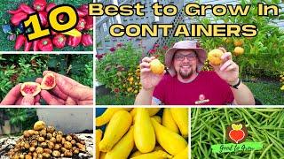 10 Best Fruit and Vegetables for Container Gardening | Guten Yardening