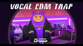 Vocal EDM Trap (Sample Pack)