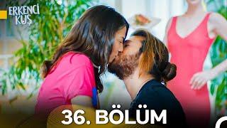 Erkenci Kuş 36. Bölüm