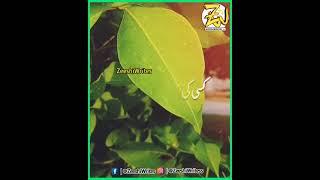 QUOTES OF THE DAY | KISI KI MUHABBAT KA | FT. ZEESHI WRITES 