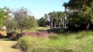 Dye's Valley Course TPC Sawgrass: The Golf Travel Guru T.V.