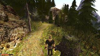 Fixing Gothic 2 being too dark, cannot increase the brightness