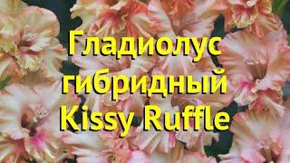 Гладиолус гибридный Кисси Раффле. Краткий обзор, описание характеристик Kissy Ruffle