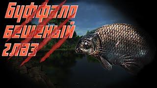 Fishing Planet PS4# Монстр Буффало Бешеный Глаз / Лоун Стар Техас