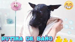 RUTINA DE BAÑO de mi Perrita LANA / Funnydogs