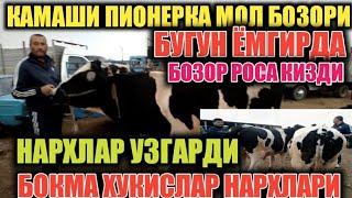 КАМАШИ ПИОНЕРКА МОЛ БОЗОРИ БУГУН ЁМГИРДА БОЗОР ДАХШАТ БУЛДИ..