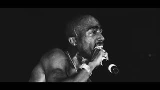 TUPAC x NAS TYPE BEAT 2025 (SON) Ghost8eats