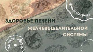 Здоровье печени и желчевыделительной системы | Елена Петрова | SIBERIAN WELLNESS