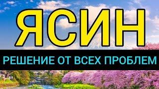 СУРА ЯСИН СЛУШАТЬ КАЖДЫЙ ДЕНЬ!