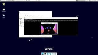 VisionFive 2 runs Color Graphics Pinball natively (no sound)
