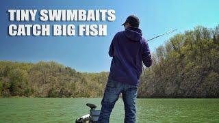 Tiny Swimbaits Catch Big Fish - Ft. Chris Johnston