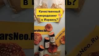 Качественный микродозинг  в Израиль? #мухоморныймикродозинг  #гребенчатый #Израиль #сша